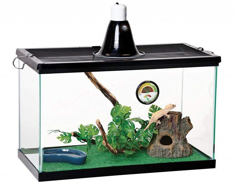 Best Crested Gecko Cage