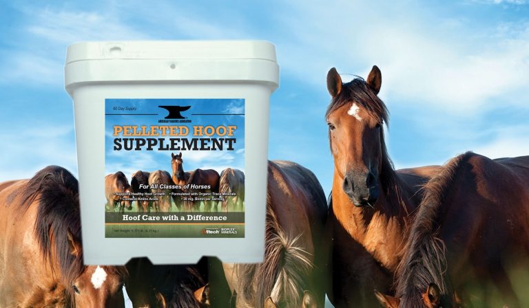 Hoof Supplement For Horse