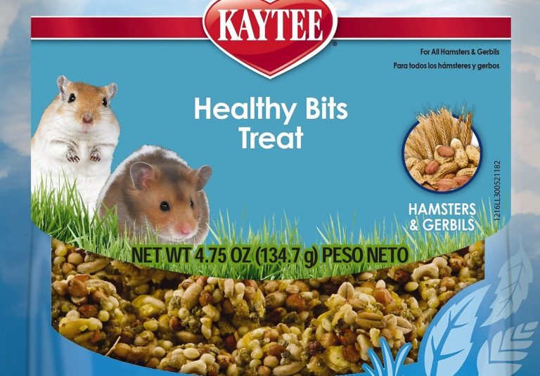 The 12 Best Hamster Treats: Reviews & Buying Guide 2019 - My Life Pets