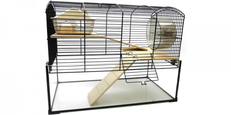 Image showcasing Top 7 Best Gerbil Cages: Guide & Reviews 2022 - My Life Pets