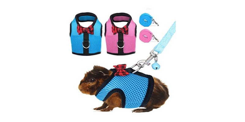 RYPET Ferret Harness