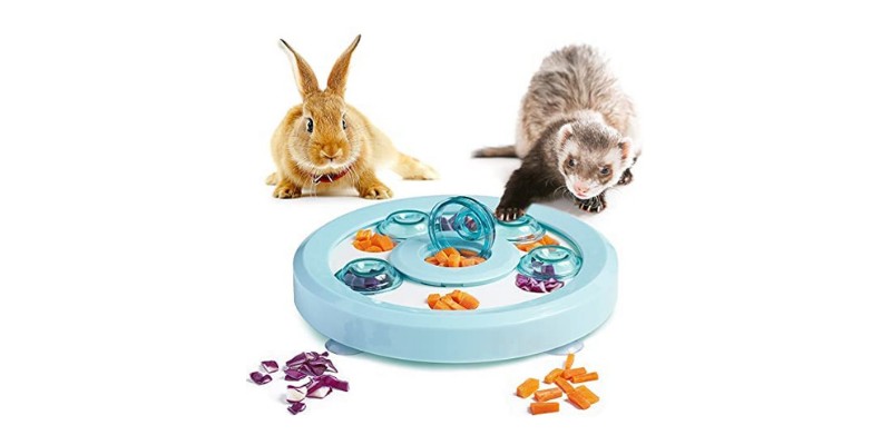 Antidious Interactive Pet Treat Game